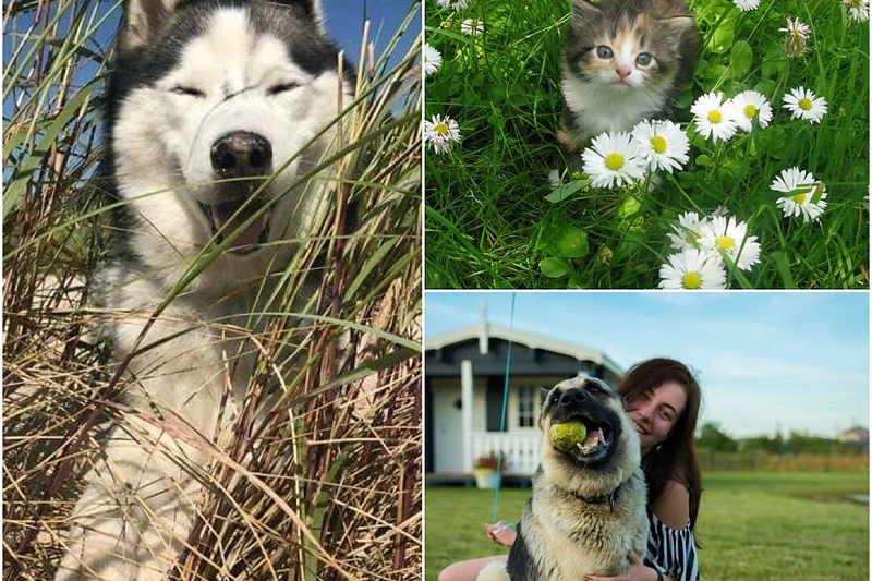 Konkurso nugalėtojai: Rossis, Pukė ir Džiazas