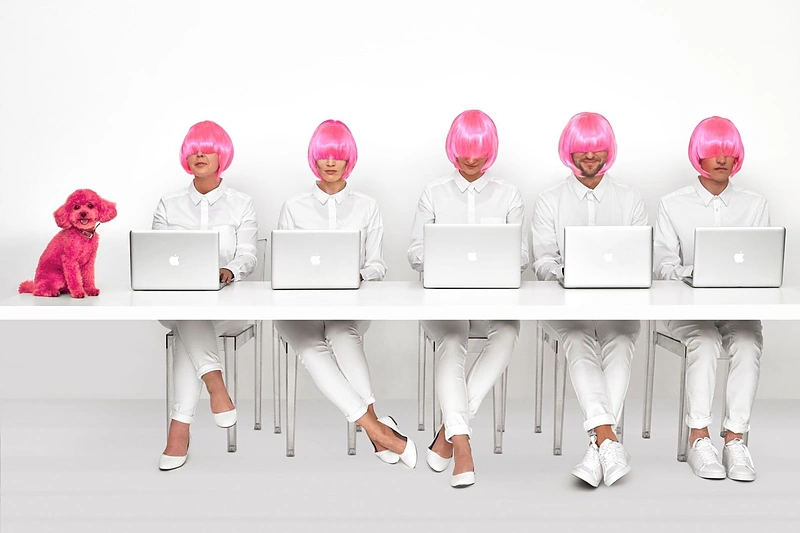 Rožinio Pudelio komanda (arba ne)