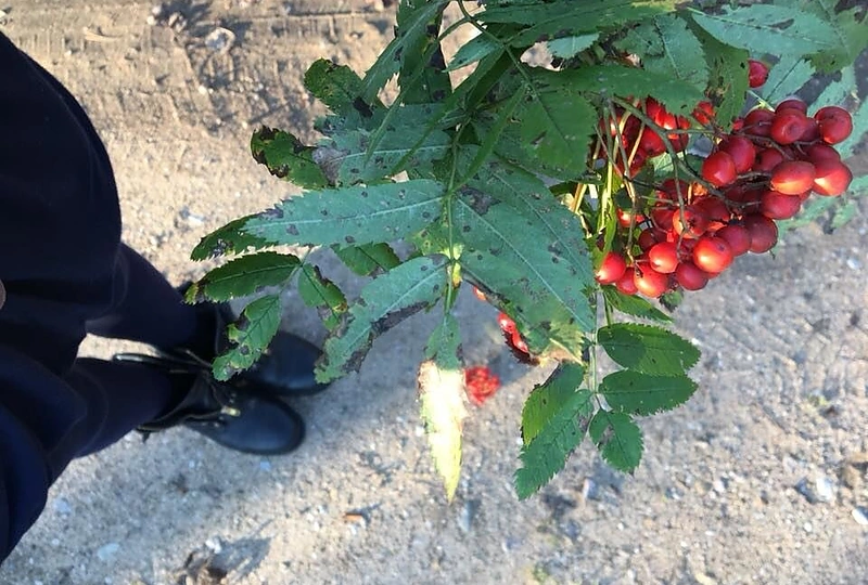 Kristinos Ivanovos savaitgalis pas močiutę