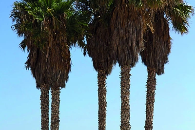 „San Jose“ paplūdimys