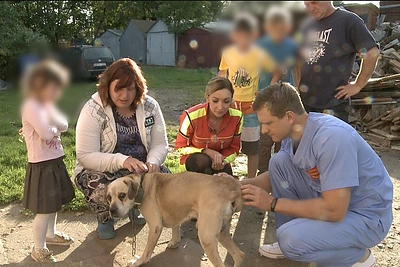 Daugiavaikė šeima prašo išgelbėti jų augintinį. Ašaras sunkiai tramdys net veterinaras