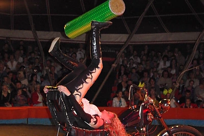 Šakių cirko mokykla