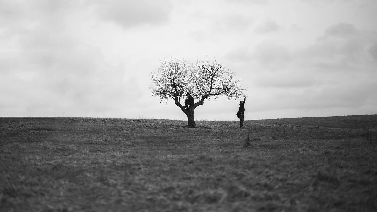 „Golden Parazyth“