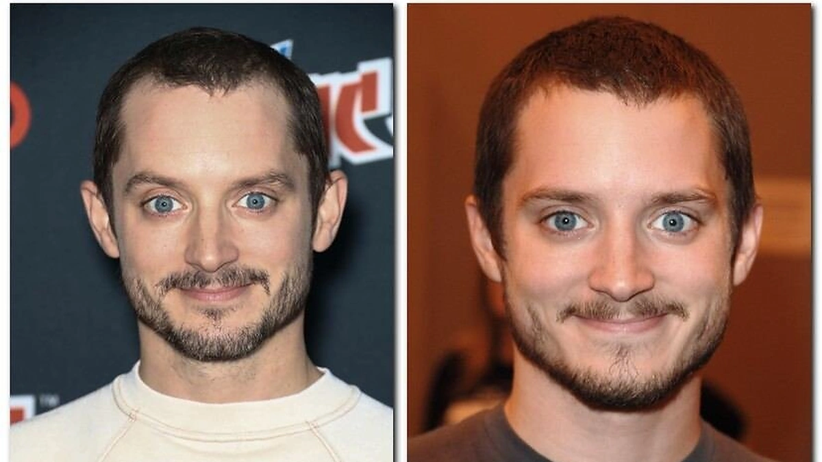Elijah Woodas 2006 ir 2017 metais