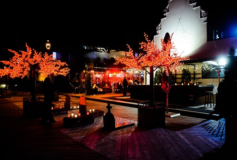 Įspūdingais kostiumais pasipuošę lietuvaičiai neatsispyrė Helovino linksmybėms