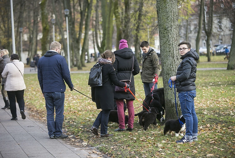 Sekmadienio akimirka