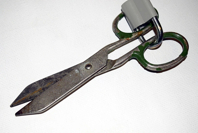 „Laisvas žmogus“ paroda