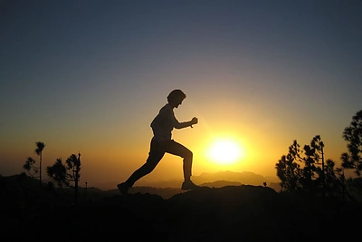 Idėja paskutiniam rudens savaitgaliui – apžiūrėti mišką tamsoje