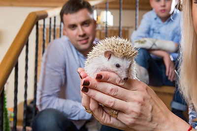 Lina Bražinskaitė-Tupikovskienė su šeima
