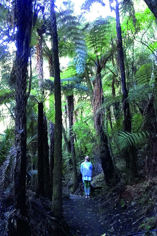Meditacijos centras Naujojoje Zelandijoje