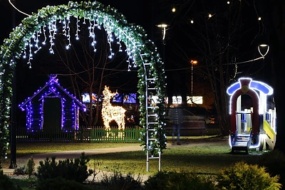 Širvintų miesto eglutė