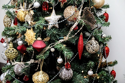 Kalėdos Sigito ir Natalijos Martinavičių namuose