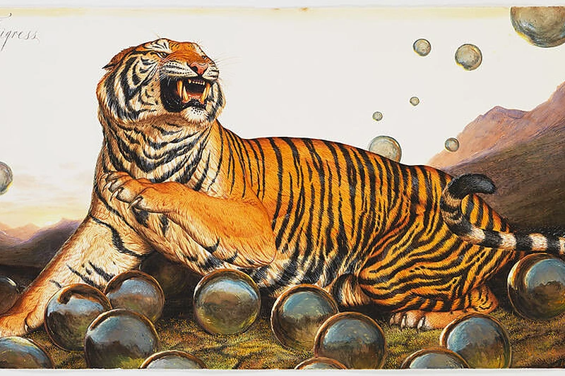 Waltonas Fordas, „The Tigress“