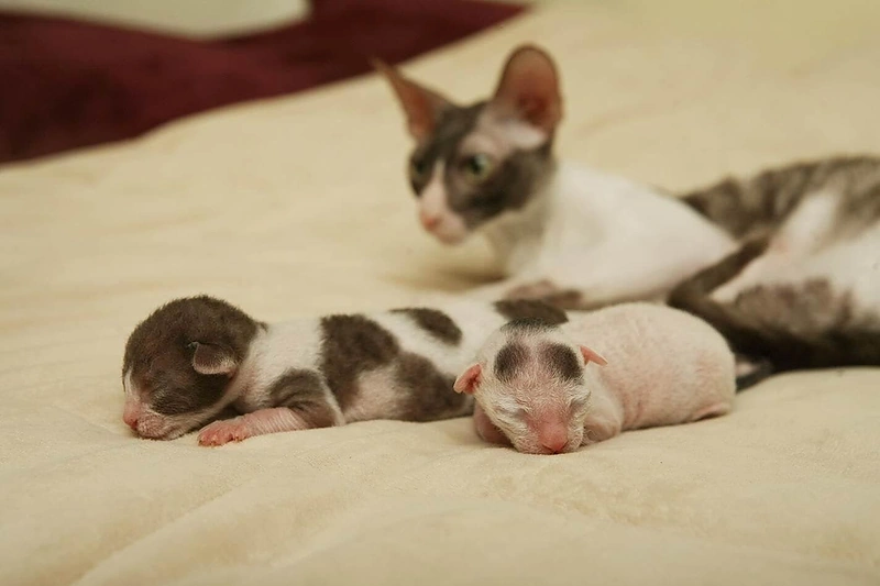 Agnės Laskytės asmeninio archyvo nuotr.