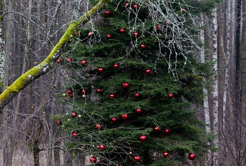 Pilnų namų bendruomenė Panaroje - kunigo Valerijaus Rudzinsko įkurta ir išpuoselėta