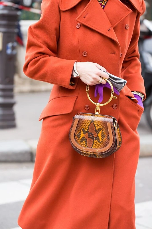 „Chloe“ rankinė