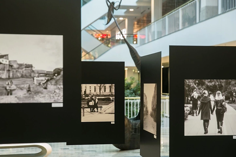 Vinco Alesiaus paroda