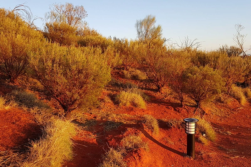 Traumatologas ortopedas Tomas Vorobjovas keliavo po Australiją