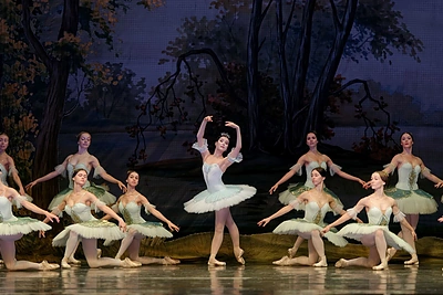 „Miegančioji gražuolė“ nubus Pekine