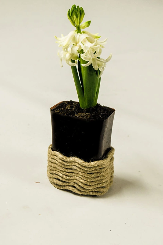 Bertas ir Ignė iš antrinių žaliavų pagamino vazonėlių