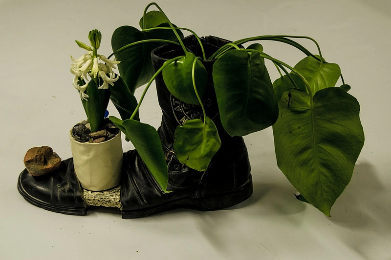 Bertas ir Ignė iš antrinių žaliavų pagamino vazonėlių