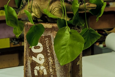 Bertas ir Ignė iš antrinių žaliavų pagamino vazonėlių