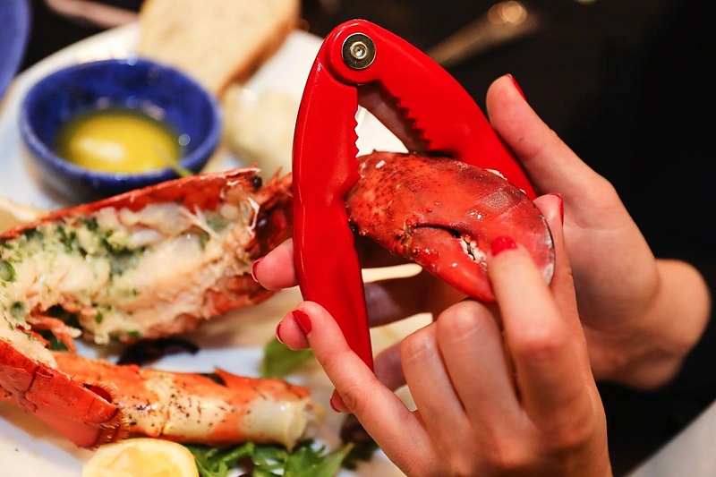 „Foxes grill & Lobster“ atidarymas