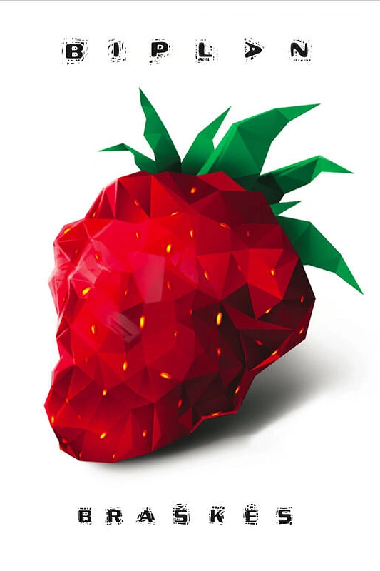 Biplan plokštelės viršelis