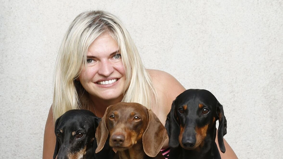 Skaiva ir jos taksai