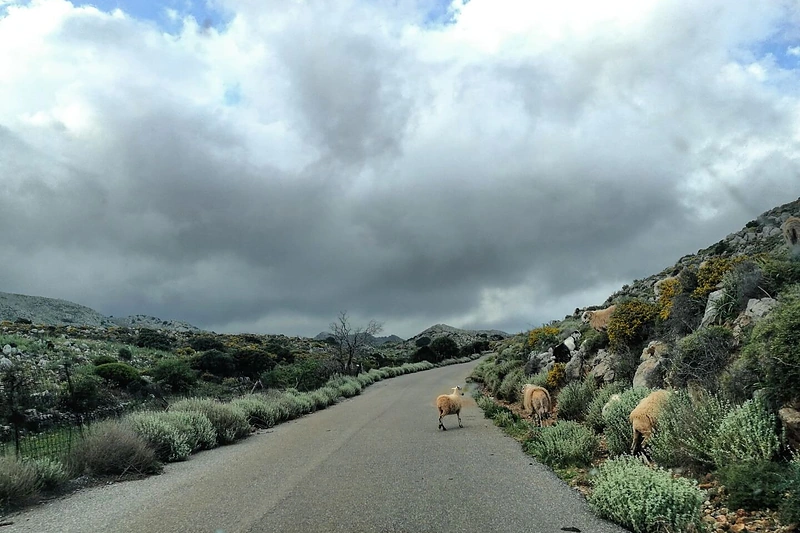 „MaNNazz“ kelionė į Kretą