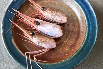 Akimirkos iš Andriaus Kubiliaus kelionės