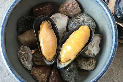 Akimirkos iš Andriaus Kubiliaus kelionės