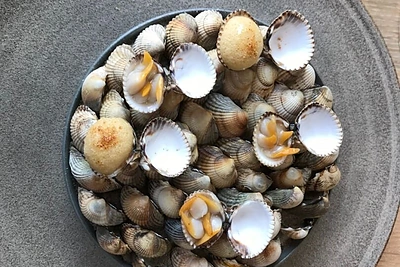 Akimirkos iš Andriaus Kubiliaus kelionės