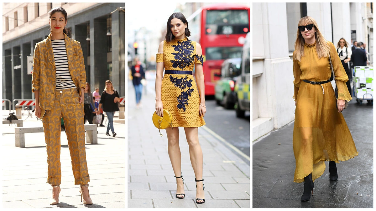 Garstyčių spalvos deriniai