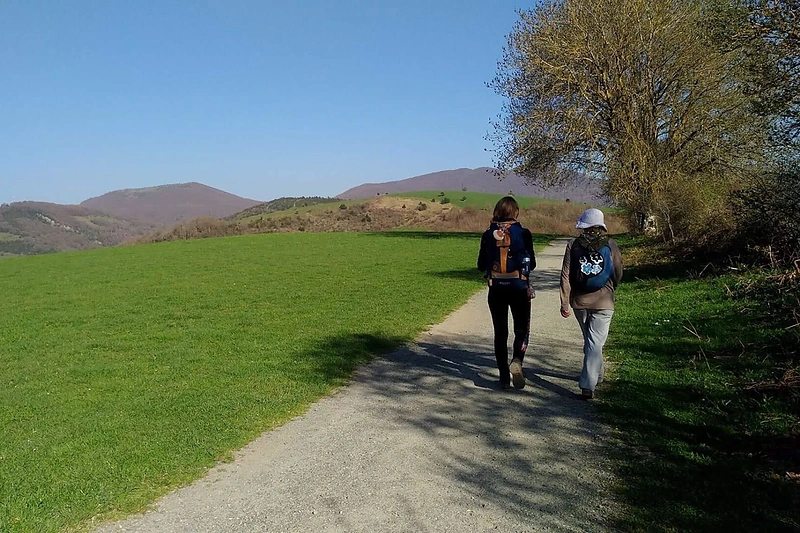Gintarės Gedvilaitės žygis per Santiago kelią