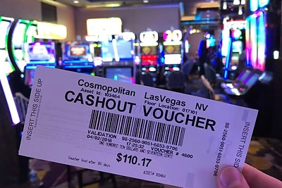 Rimvydo Širvinsko-Makaliaus kelionė po JAV