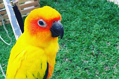 Kelionė po Tailandą