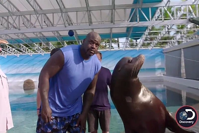 Shaquille'as O'Nealas