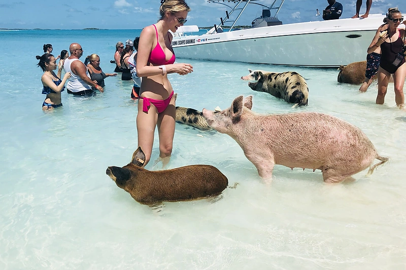 Deimantės Guobytės ir Luko Baranausko medaus mėnesio akimirkos