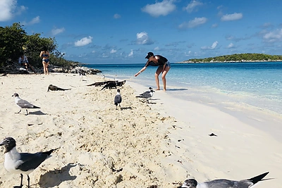 Deimantės Guobytės ir Luko Baranausko medaus mėnesio akimirkos