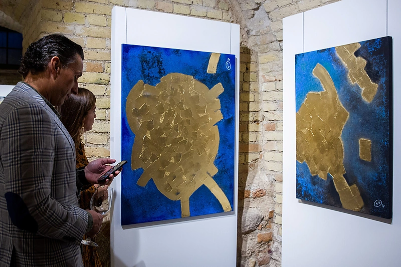 Skaistės Semenikės solo parodos „Istorijos“ pristatymas