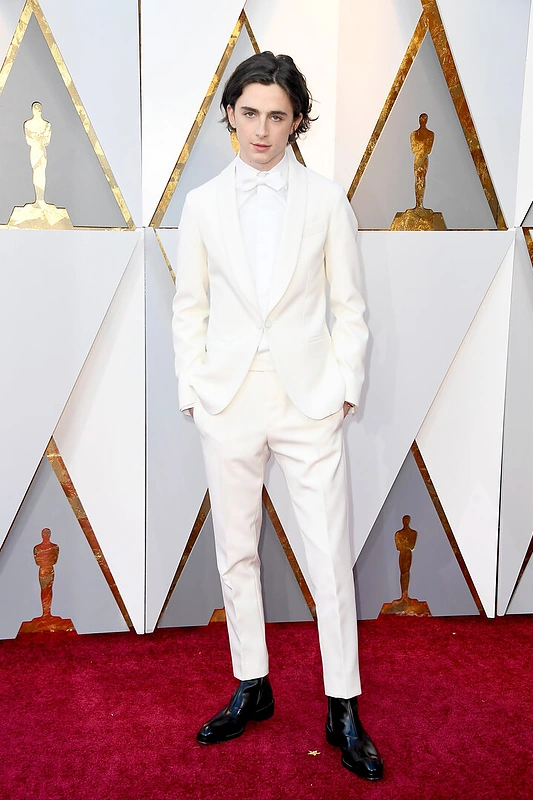 Jaunoji kino žvaigždė Timothee Chalamet