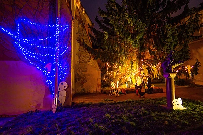 Šv. Martyno diena Vilniuje