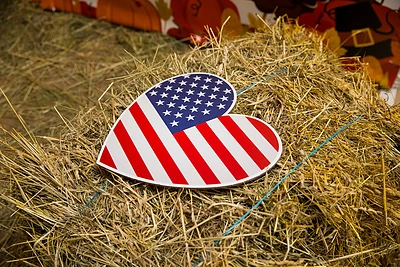 Padėkos dienos minėjimo akimirka