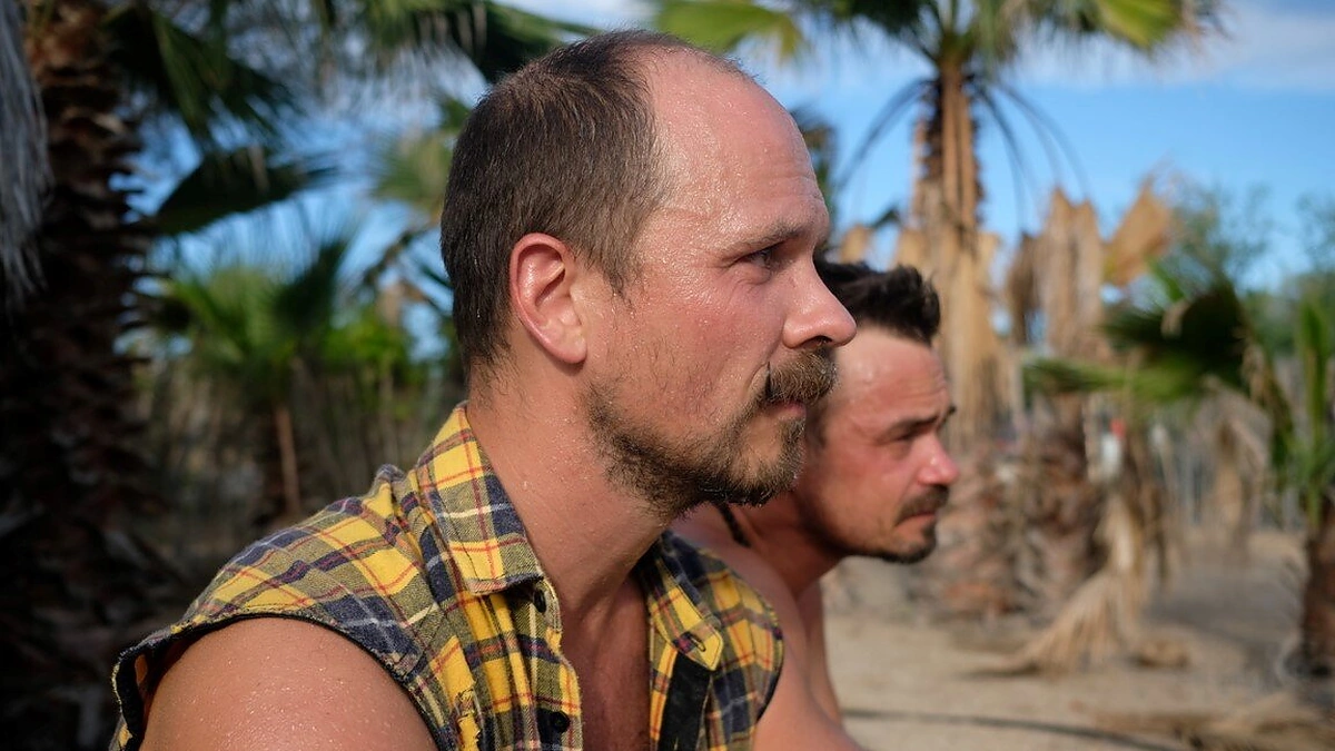 Leo ir Bružas įsidarbino palmių plantacijoje