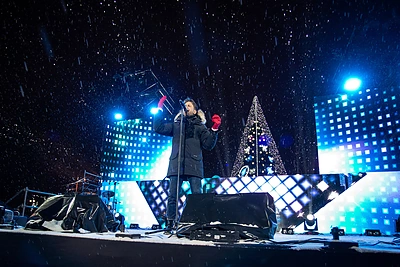 Vilniaus eglės įžiebimas/ Gretos Skaraitienės nuotr.