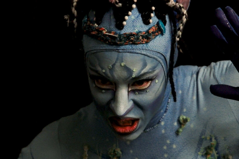 „Cirque du Soleil“ pasirodymas/LNK nuotr.