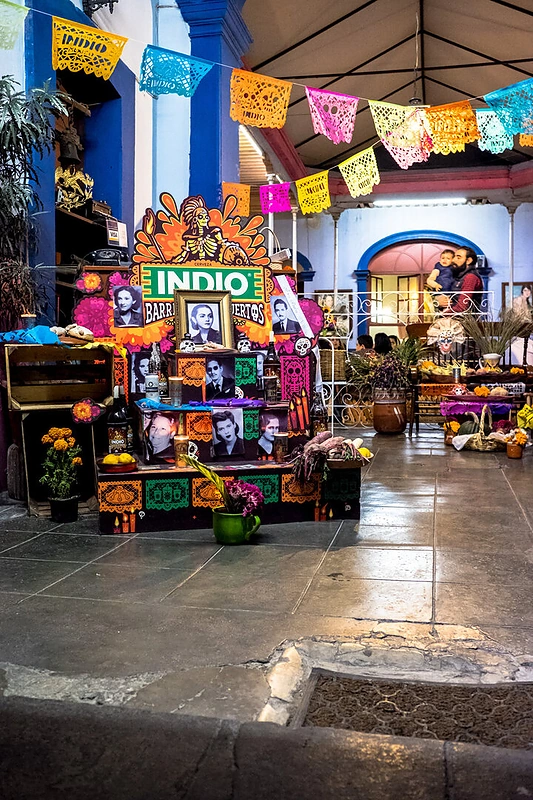 Akimirka iš kelionės