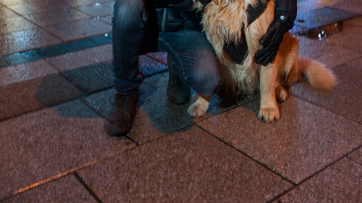 Dominykas Koncevičius