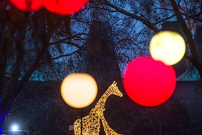 Londono zoologijos sodas / „Scanpix“ nuotr.